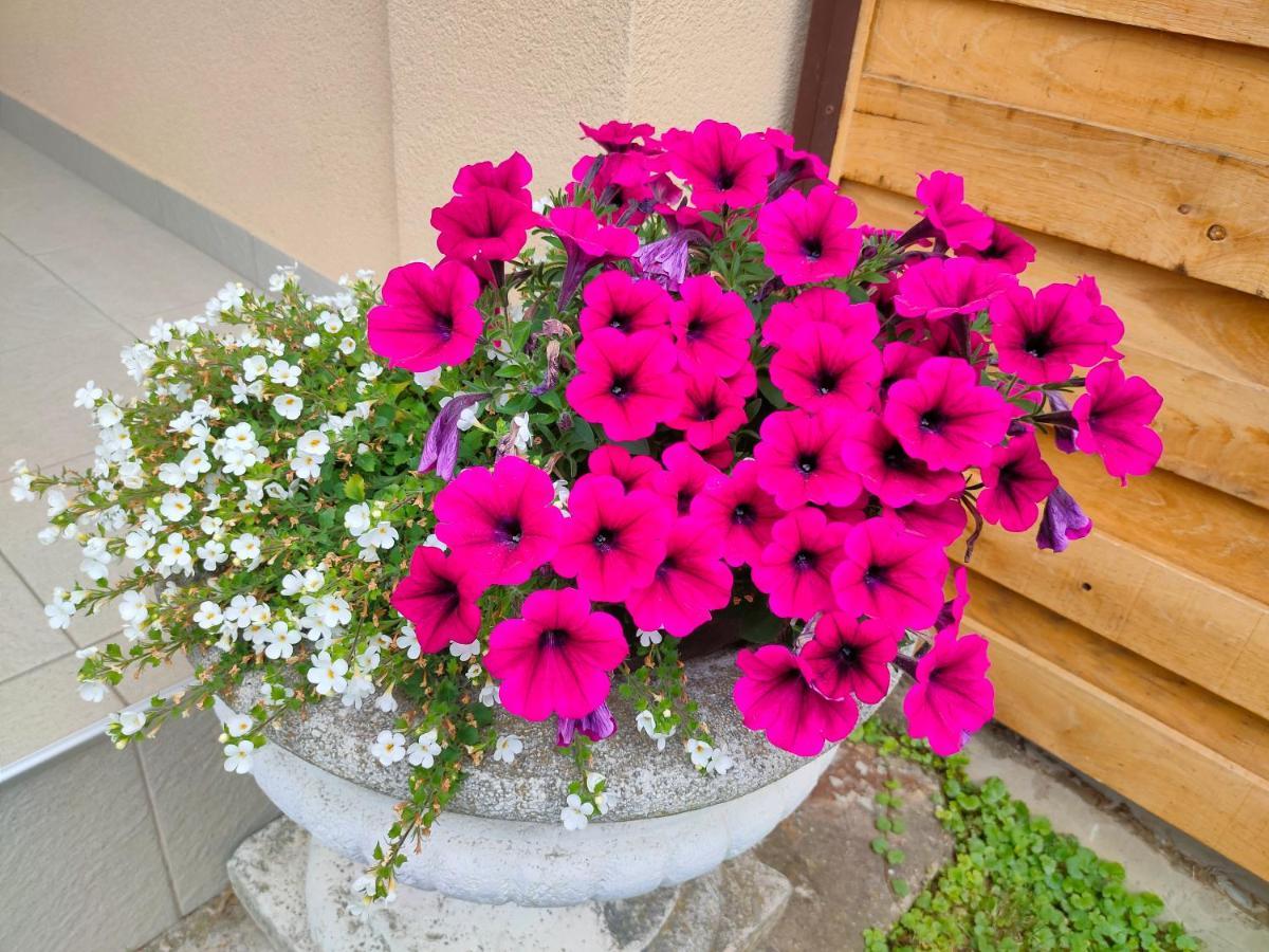 Studio Apartman The Little Prince Bjelovar Exterior photo